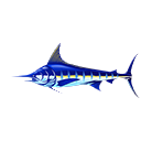 Marlin icon